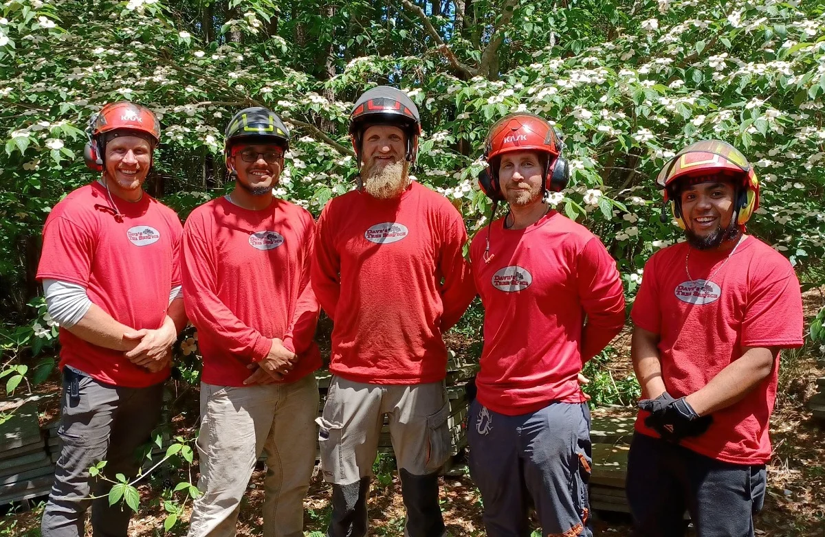 Dave's Tree Service team at work