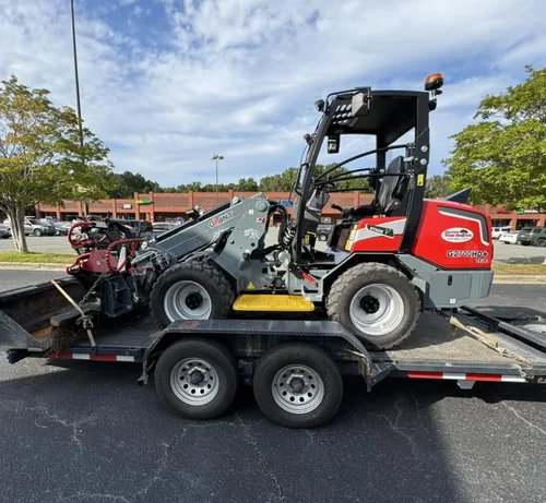 Dave's Tree Service work