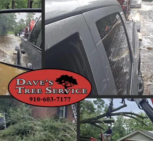 Tree care in Moore County