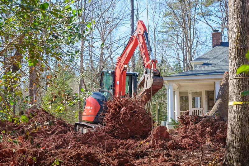 Start of a Tree Removal Project