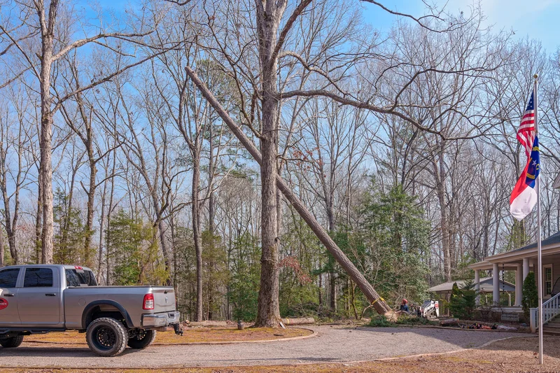 Dave's Tree Service Crew in Action