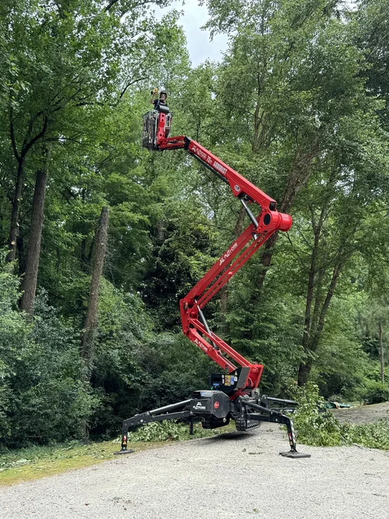 Tree Pruning and Trimming
