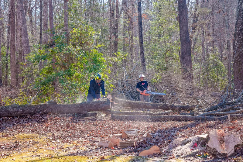 Dave's Tree Service Equipment and Crew