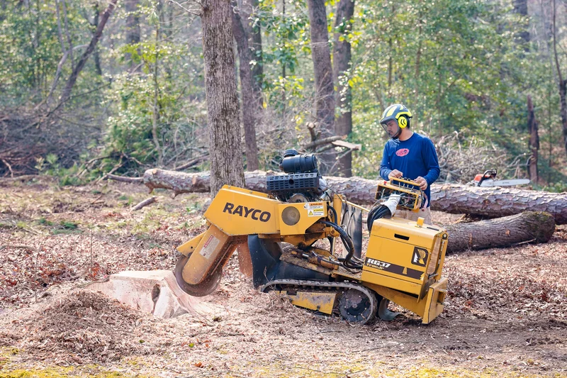 Safe and Efficient Tree Felling