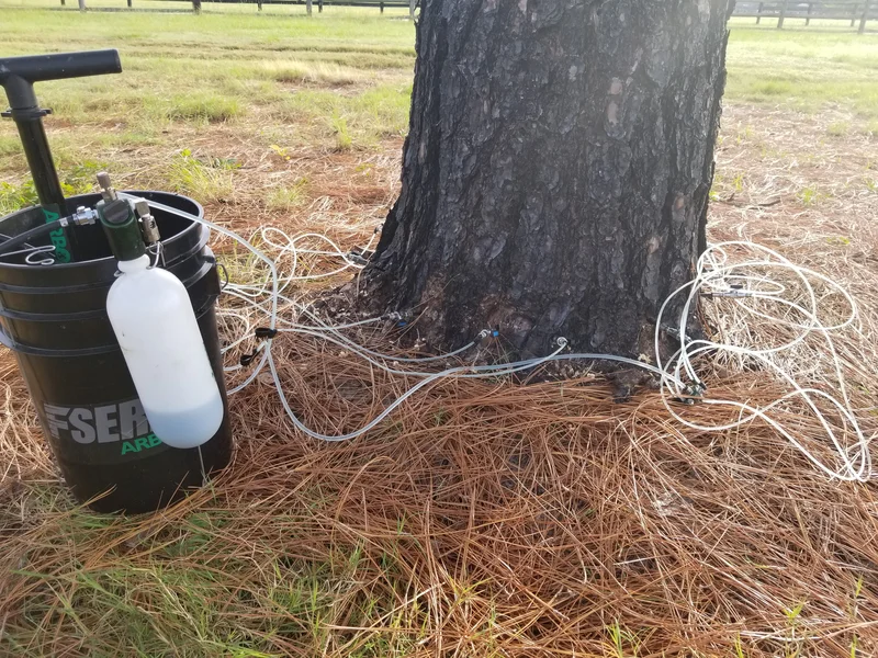 Tree Care Operations