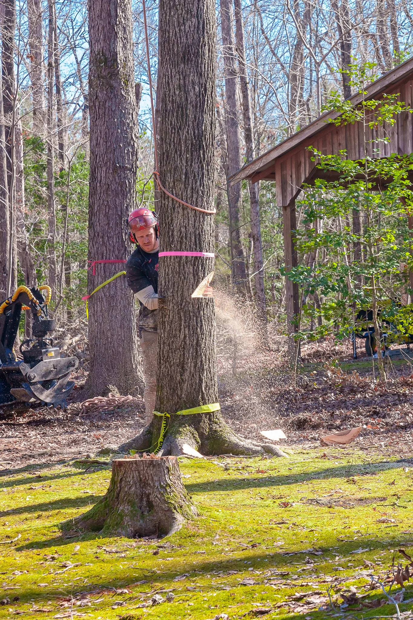 Dave's Tree Service Vass NC