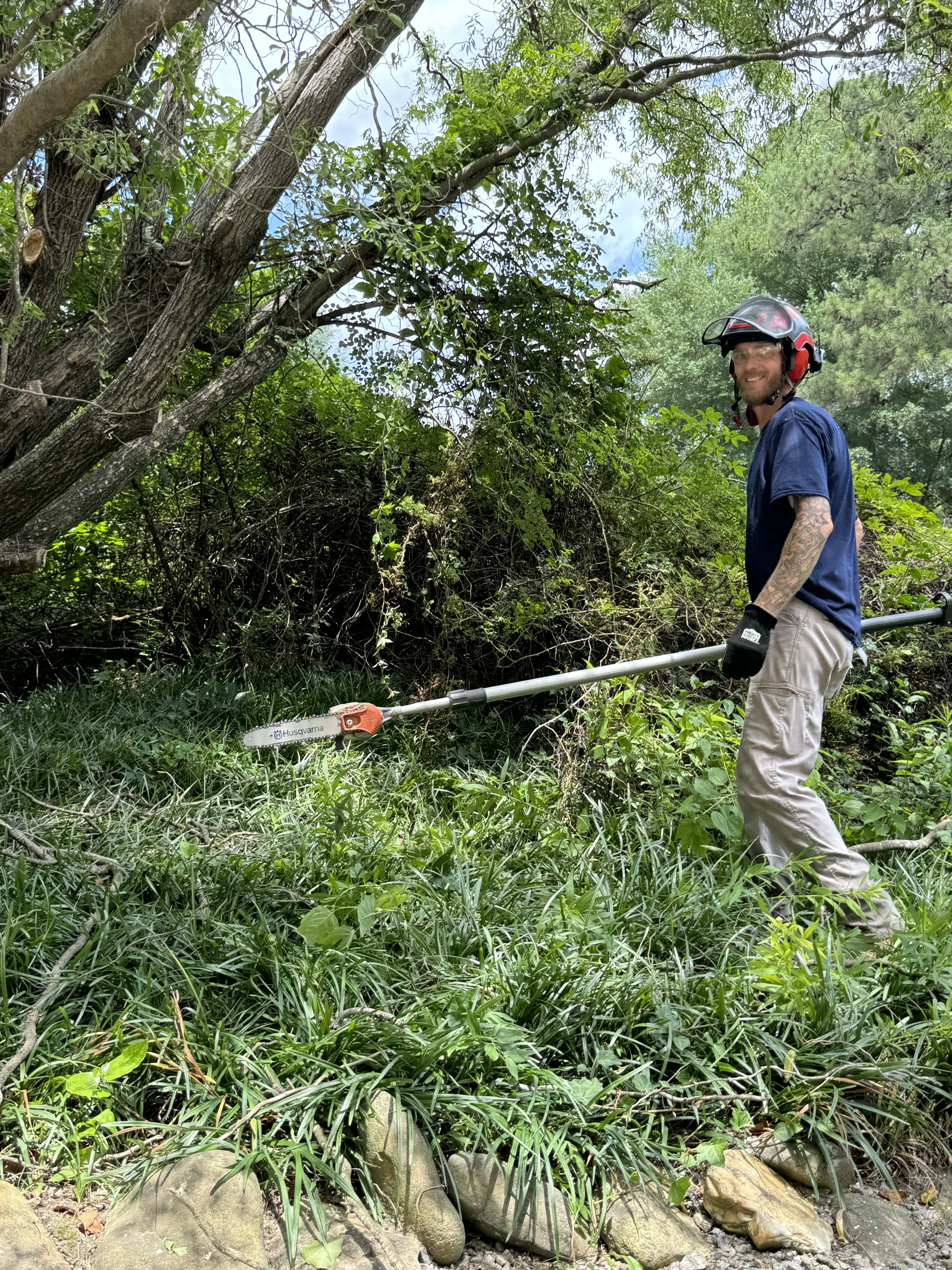 Dave's Tree Service Vass NC