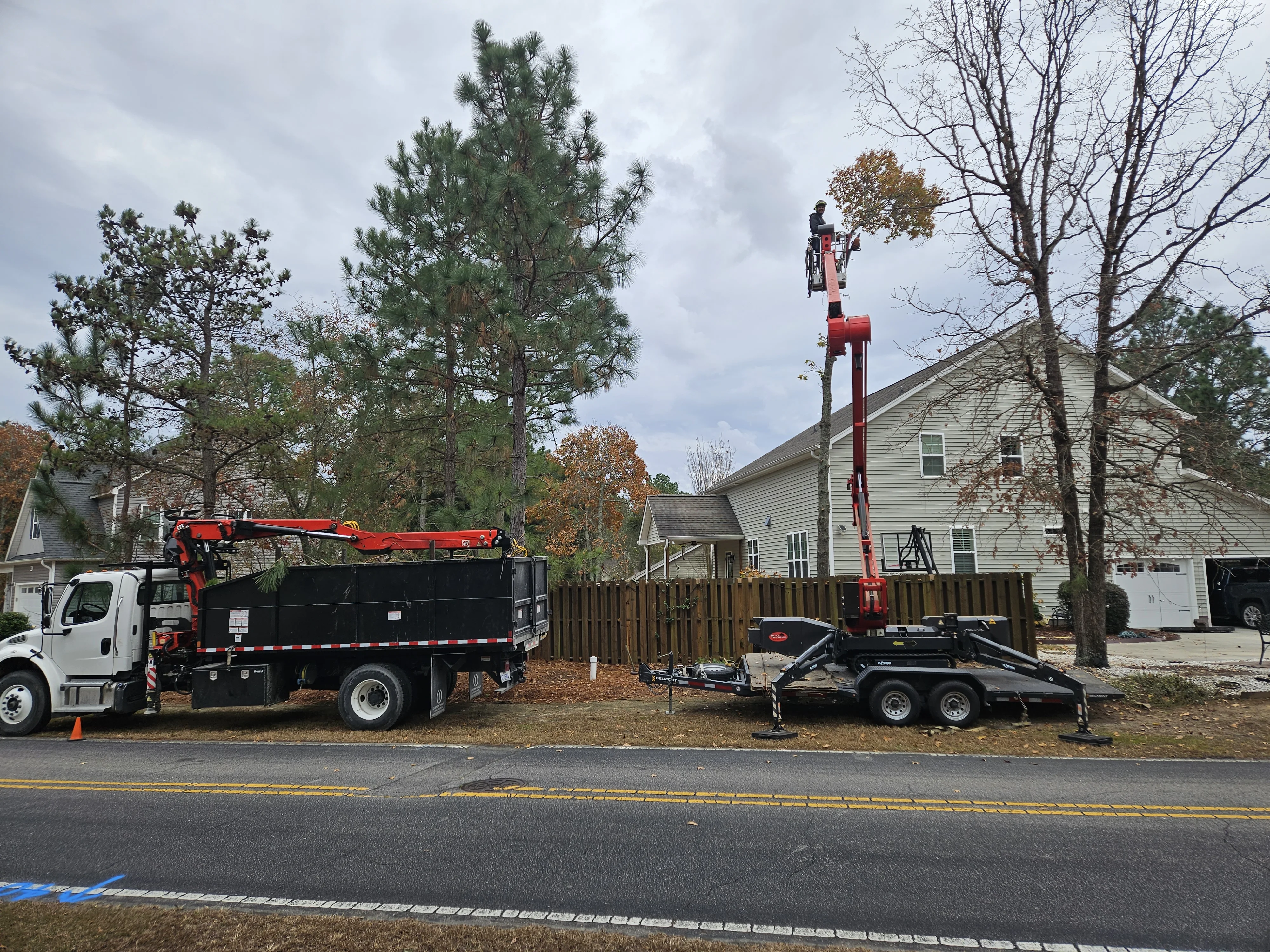 Dave's Tree Service Vass NC