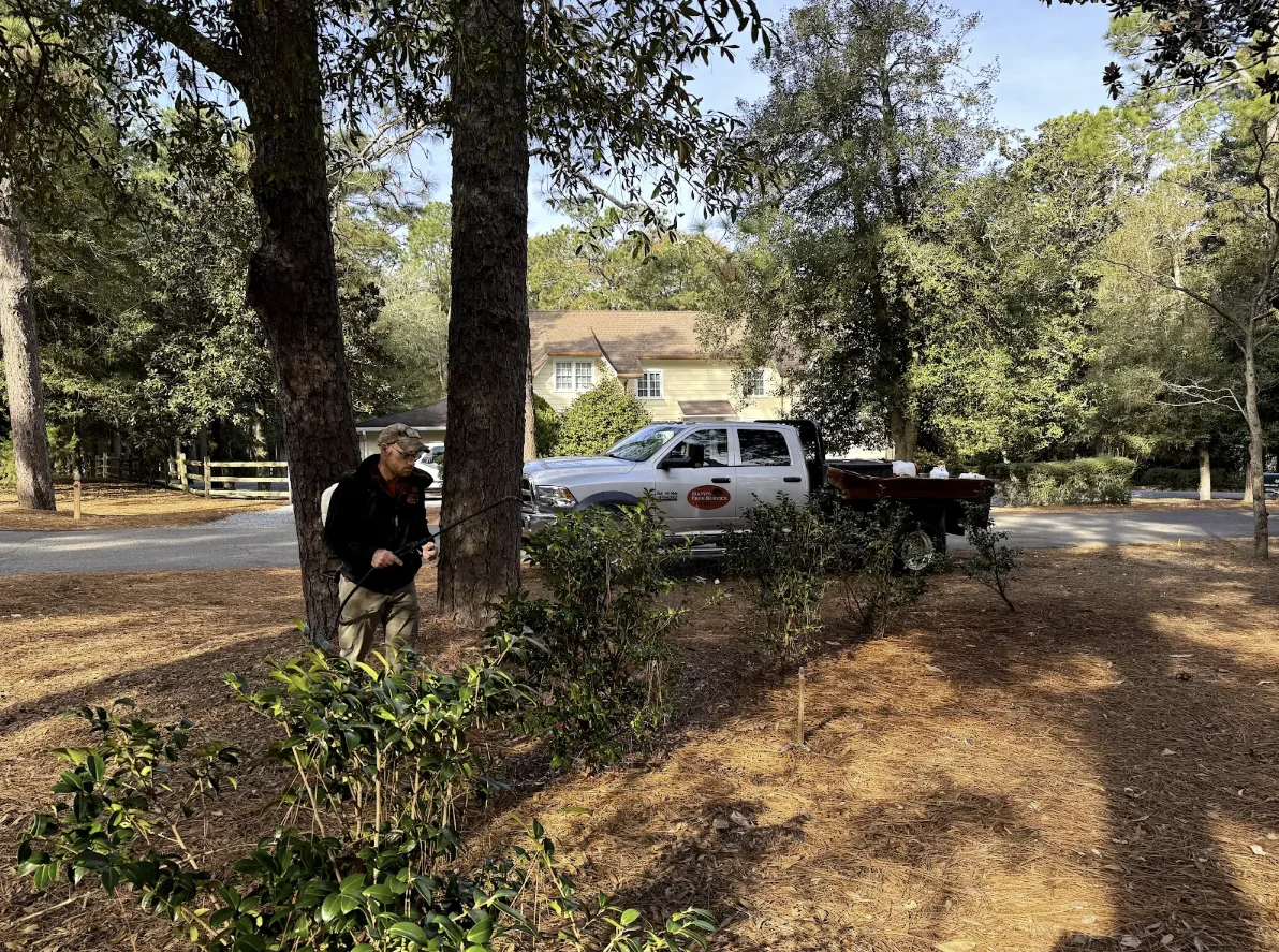 Plant Health Care Service Gallery Image 3