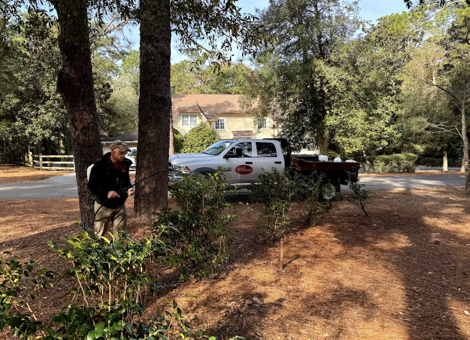 Plant Health Care Service