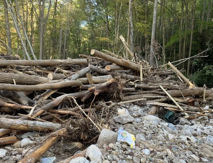 Full Service Plant Health Care